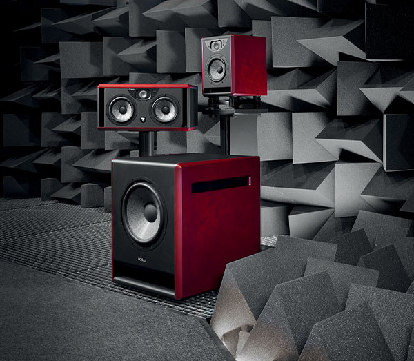 professional loudspeakers