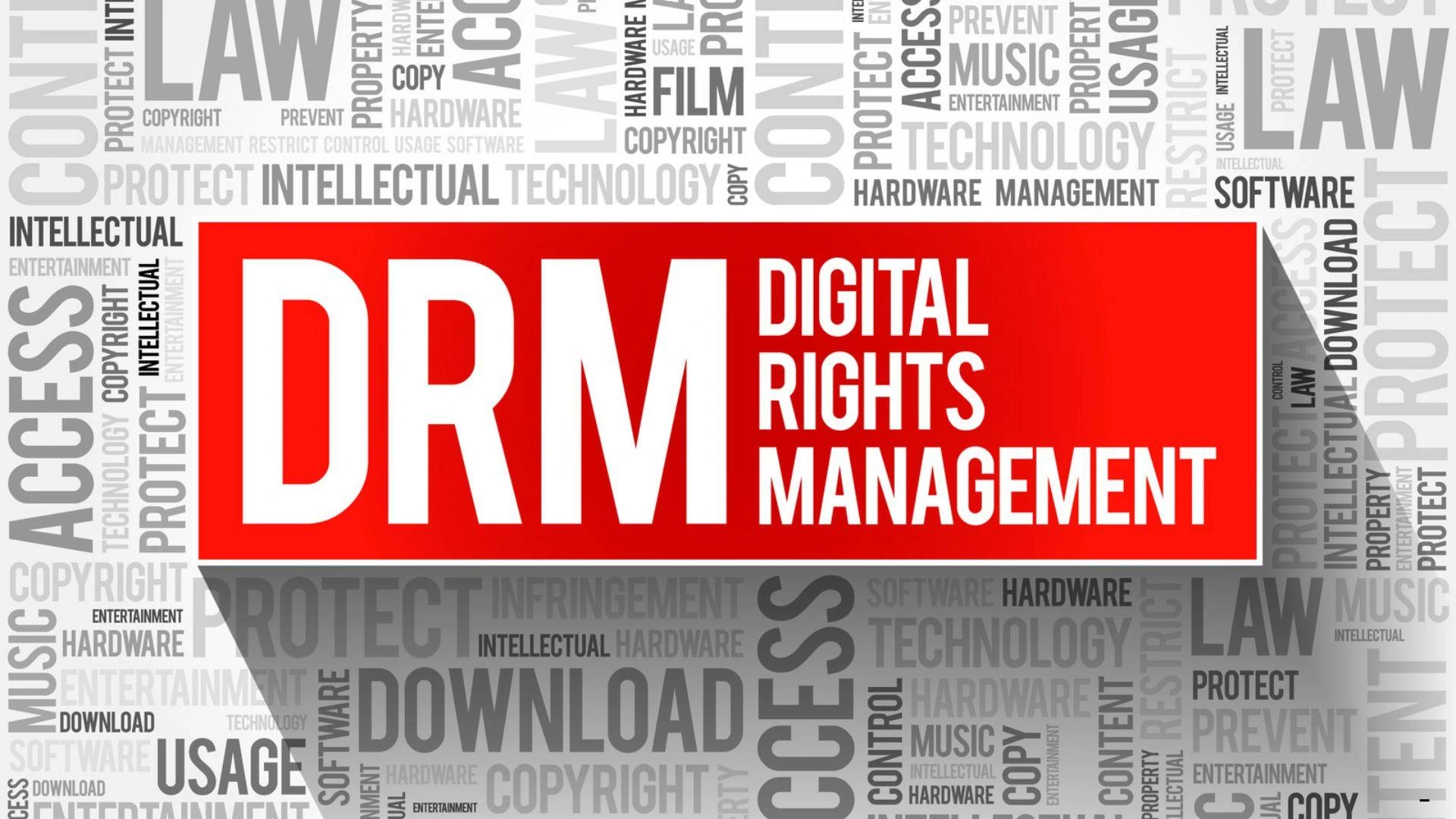 Digital Rights Management Services